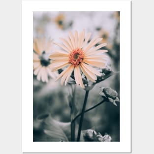 Cup Plant. Yellow Flower Photograph Posters and Art